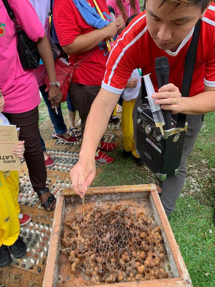Bugis Museum and Uncle Tan Stingless Bee Farm